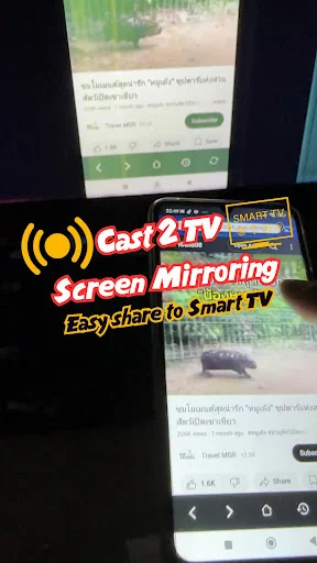 Screen Mirroring – Phone to TV screenshot 4