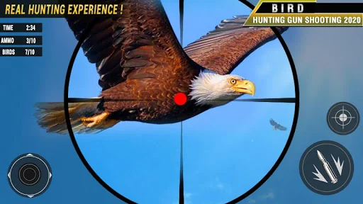 Bird Hunting: Sniper Gun Games