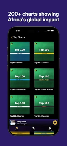 AfroCharts: 100% African Music screenshot 2