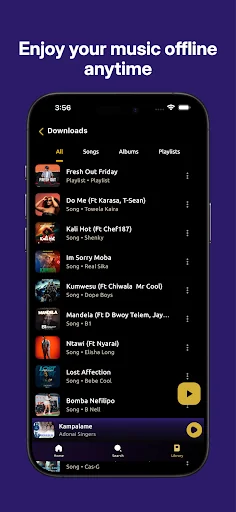 AfroCharts: 100% African Music screenshot 4