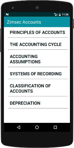 Zimsec Accounts Revision