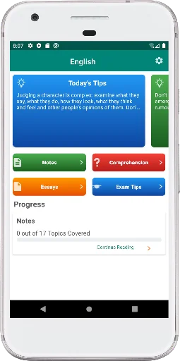 Zimsec English Revision