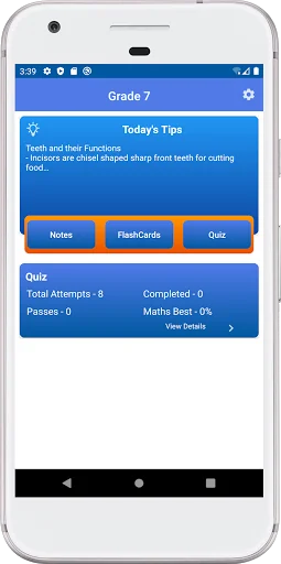 Zimsec Grade 7 Revision