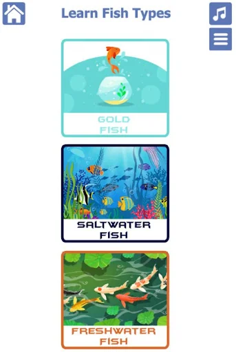 Fish Types | Goldfish Saltwate