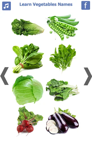 Learn Vegetables Name