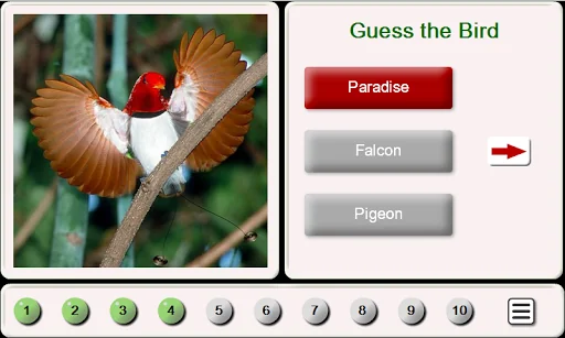 Guess the Bird: Tile Puzzle
