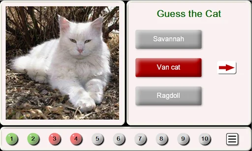Guess the Cat: Tile Puzzle screenshot 1