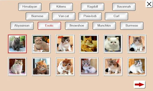 Guess the Cat: Tile Puzzle screenshot 2
