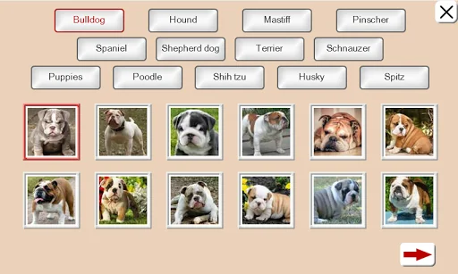 Guess the Dog: Tile Puzzles screenshot 2