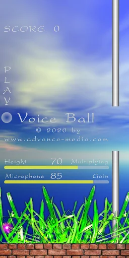 Voice Ball Lite