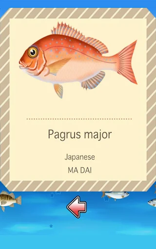 Fishing Game by Penguin + screenshot 3