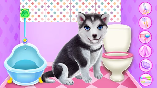 Husky Puppy Spa Salon