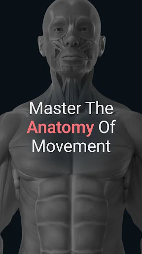 Anatomy by M&M