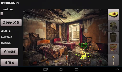 Mystery Hidden Objects