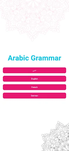 Elementary Arabic Grammar