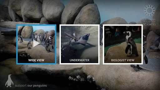 Pocket Penguins screenshot 2