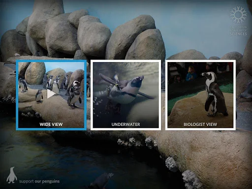 Pocket Penguins screenshot 4