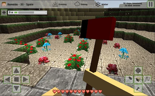 Cubes Craft 2