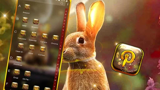 Rabbit in Space Launcher screenshot 3
