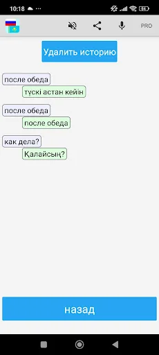 Russian Kazakh Translator screenshot 4