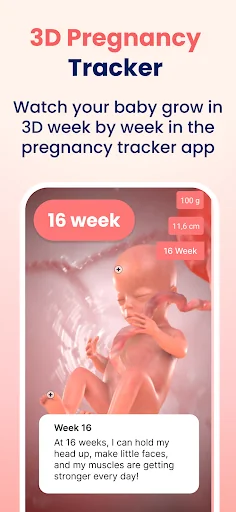 HiMommy: Pregnancy Tracker screenshot 3
