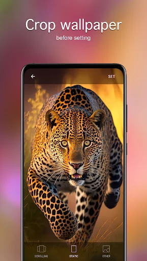 Animal Wallpapers 4K screenshot 4