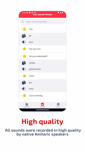 SPEAK AMHARIC - Learn Amharic screenshot 2
