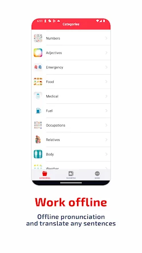 SPEAK AMHARIC - Learn Amharic screenshot 3