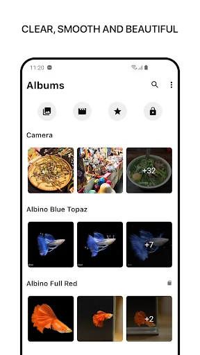 1Gallery: Photo Gallery/Vault screenshot 1