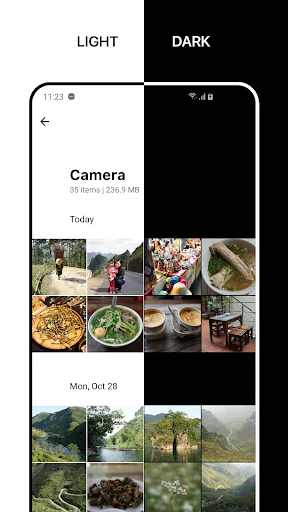 1Gallery: Photo Gallery/Vault screenshot 3