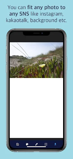 Image Fit - Resize No Cropped