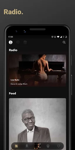 Luxe Radio screenshot 1
