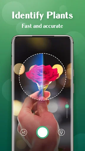 Plant Lens Plant identifier screenshot 2