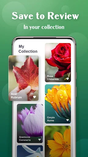 Plant Lens Plant identifier screenshot 4