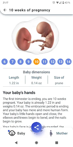 My Pregnancy - Week by Week screenshot 2