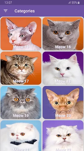 Real Cat Sounds screenshot 1