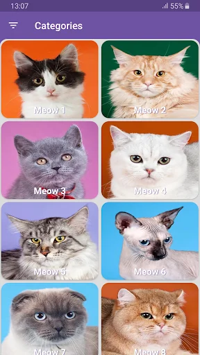 Real Cat Sounds screenshot 2