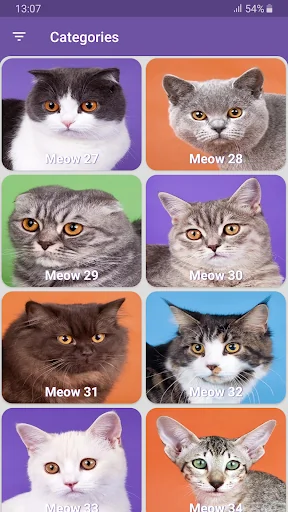 Real Cat Sounds screenshot 3