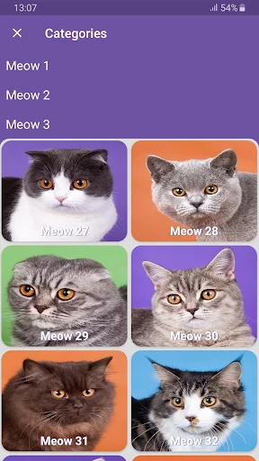 Real Cat Sounds screenshot 4