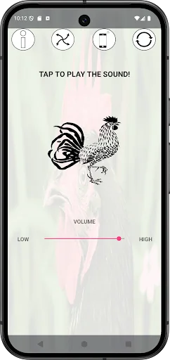 Rooster Crowing Sounds
