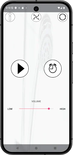 Shower Sounds