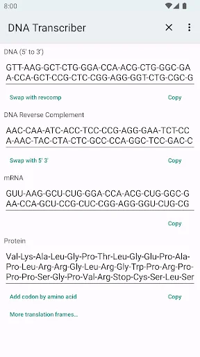 DNA-RNA-Protein Transcriber