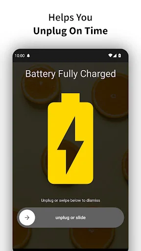 Full Battery Charge Alarm screenshot 3
