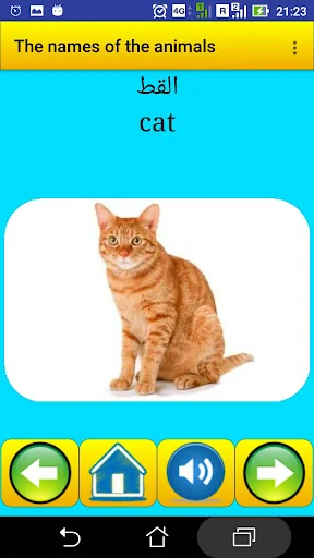 The names of the animals in Ar