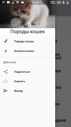 Все породы кошек screenshot 1