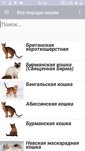 Все породы кошек screenshot 2