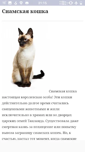 Все породы кошек screenshot 3