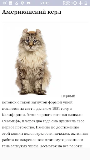 Все породы кошек screenshot 4