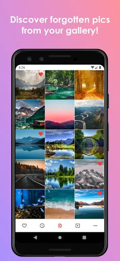 Random Gallery