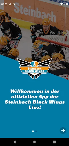 Steinbach Black Wings Linz